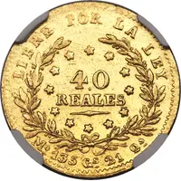 40 Reales Pattern