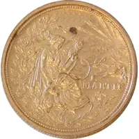 Token - Carrefour Romania