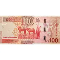 100 Namibia Dollars
