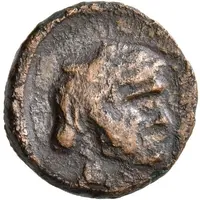 Dichalkon - Artaxias I Bearded Male