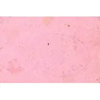 0.50 Pesetas Agramón