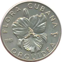 1 Peso Orchid