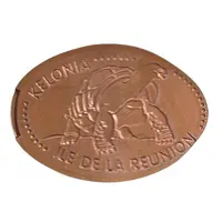 Kélonia tortue terrestre