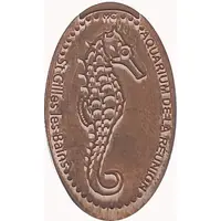 Aquarium de la Réunion - Saint-Gilles les Bains Hippocampe