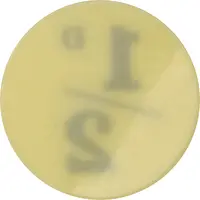 1/2 Penny Civilian Internment Camps