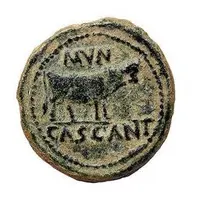 Semis - Tiberius MVN CASCANT