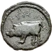 Æ Half Unit - Macomades