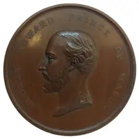 Medal - Prince of Wales Recovery from Typhoid