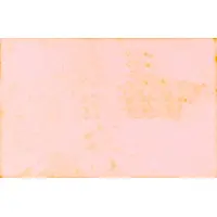 5 Céntimos Santes Creus, Sindicat Agrícola