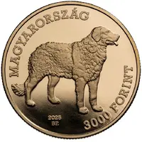 3000 Forint Kuvasz