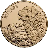 3000 Forint Kuvasz