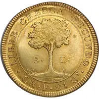 8 Escudos Costa Rica