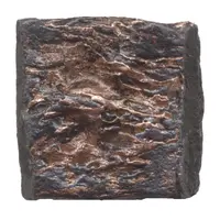 11/2 Karshapana Pushyamitra