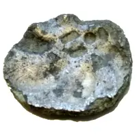 Quinar Büschelquinar type