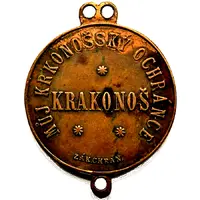 Medal - Protector of Winter Sportsmen