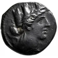 Chalkon - Pankrazenode