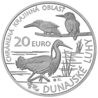 20 Euros Danube Floodplains