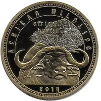 1000 Kwacha African Buffalo