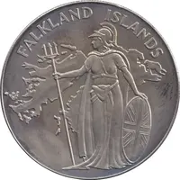 Medal Falkland Islands, Task Force