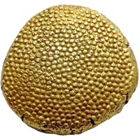 Puvitta Ananthavarahan - Ayillyam Thirunal Rani Gouri Laxmi Bayi