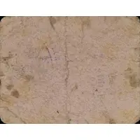 1 Peseta Peal de Becerro