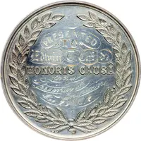 Medal Honoris Causa, Silver