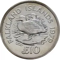 10 Pounds - Elizabeth II Conservation, Silver Issue