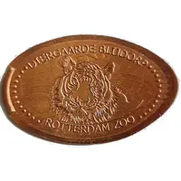 Blijdorp Zoo - Tiger