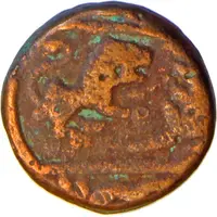 Paisa - Vagh Rajas of Mehidpur