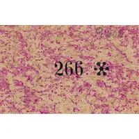 50 Céntimos Argençola