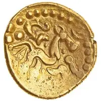 Stater Tribal Tree type