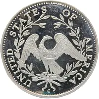 Replica - 1 Dollar Flowing Hair