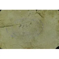 25 Céntimos Canjáyar