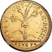 2 Doppie - Pius VI Semi-oval shields