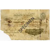 300 Pounds White, 1807 issue