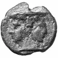 1/2 As Dolphin series