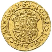 Florin - János Zsigmond