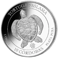 10 Córdobas Paslama Turtle