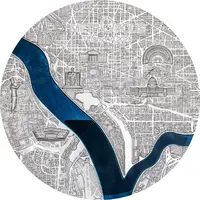 100 Dollars Washington