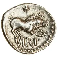 Silver Unit - Verica Verica Star Boar