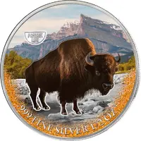 500 Francs CFA Bison