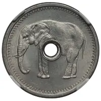 Token - Non-denominated Elephant