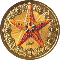 10 Dollars Starfish, Colored