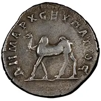 Drachm - Trajan Bostra