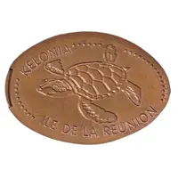 Kélonia tortue marine