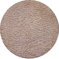 Tourist Token - Ulyanovsk Homeland of V.I. Lenin