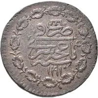 Kopek - Shahin Giray