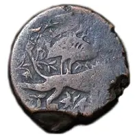 Falus Lion and Peacock