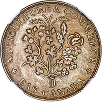 1 Sou Misc. - 18 cherry leaves / 7 shamrocks