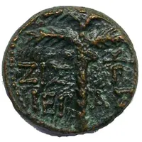 Æ17 - Domitianus Tyre